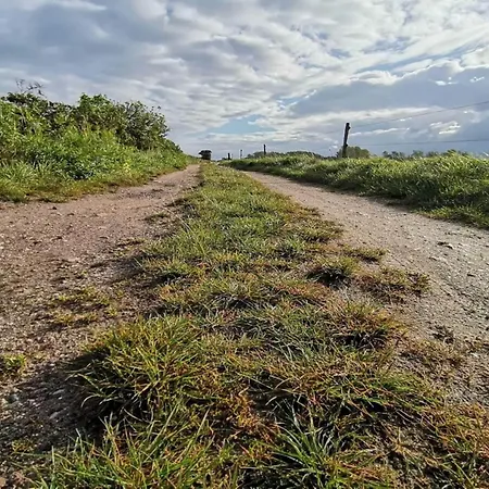 Luxury Retreat In Als - By Traum Feriehus *