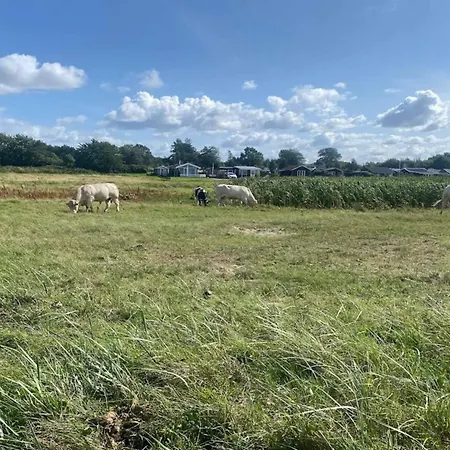 Feriehus Luxury Retreat In Als - By Traum *