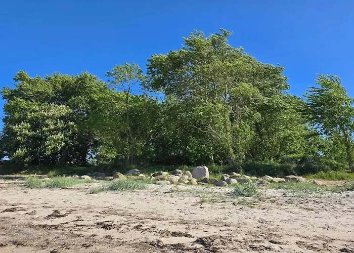 Luxury Retreat In Als - By Traum * Nordborg