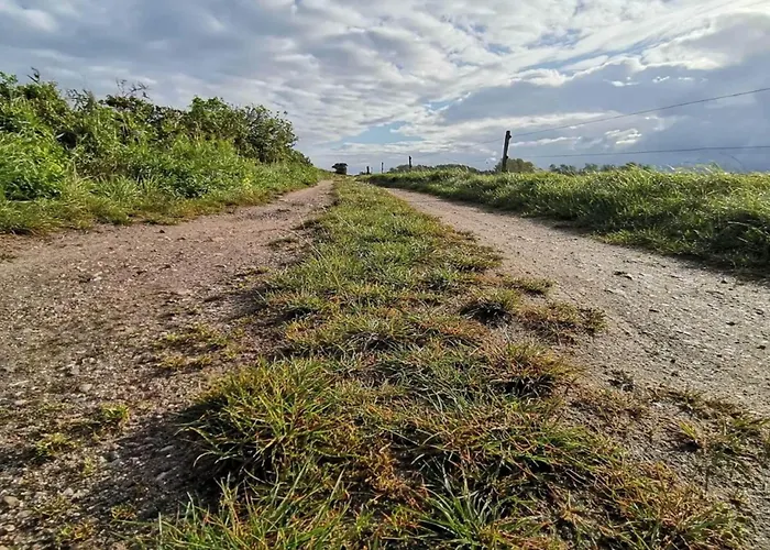 Luxury Retreat In Als - By Traum Vakantiehuis *