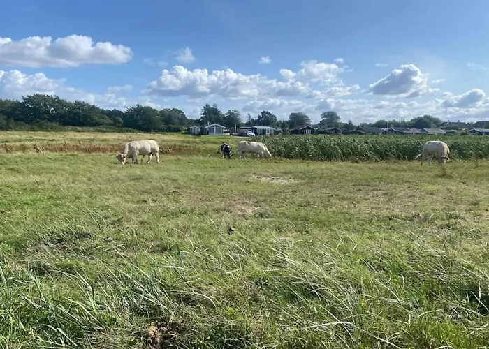 Vakantiehuis Luxury Retreat In Als - By Traum *